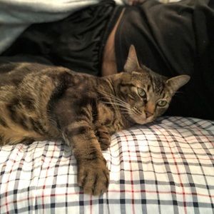 Meet your Posher, Patrick